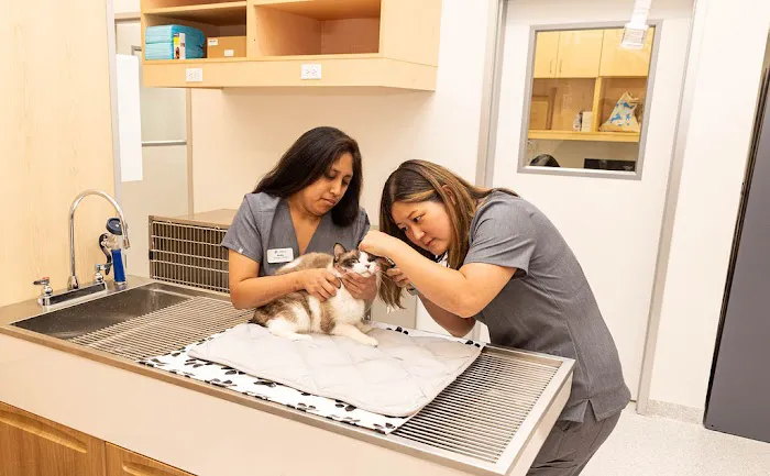 Cumulus Animal Hospital 9
