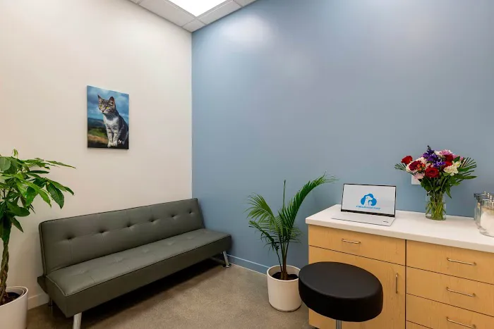 Cumulus Animal Hospital 7