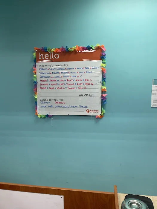 Banfield Pet Hospital 2