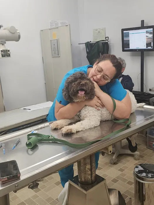Culver City Animal Hospital 3