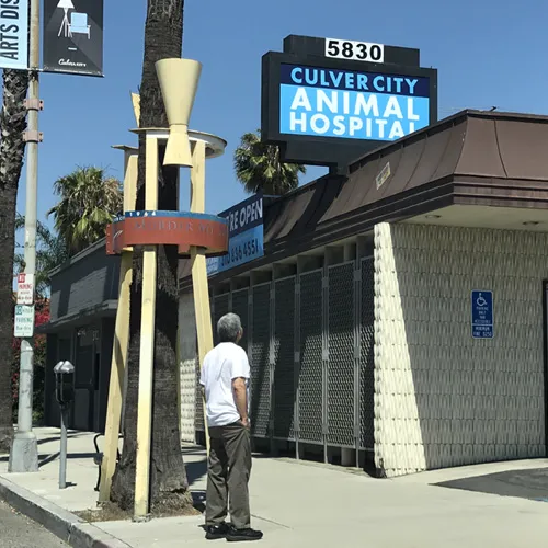Culver City Animal Hospital 10