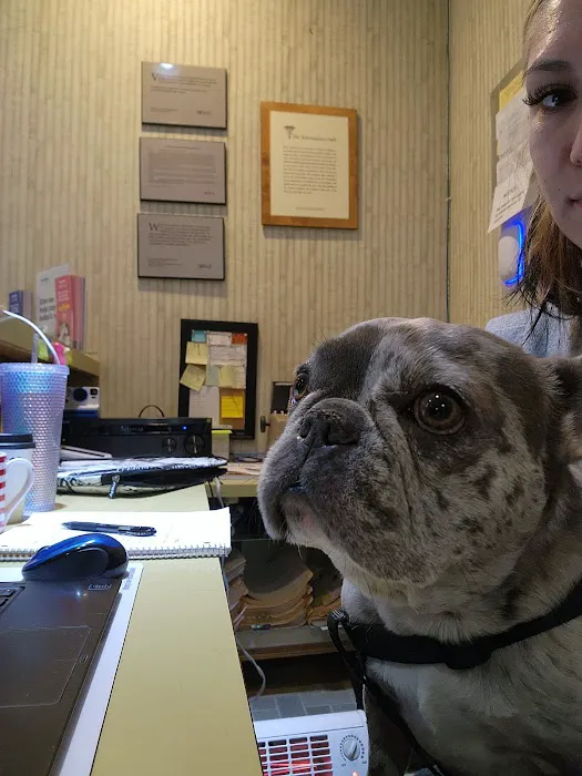 Culver City Animal Hospital 4
