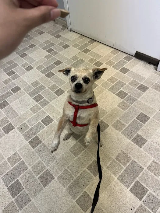 Culver City Animal Hospital 9
