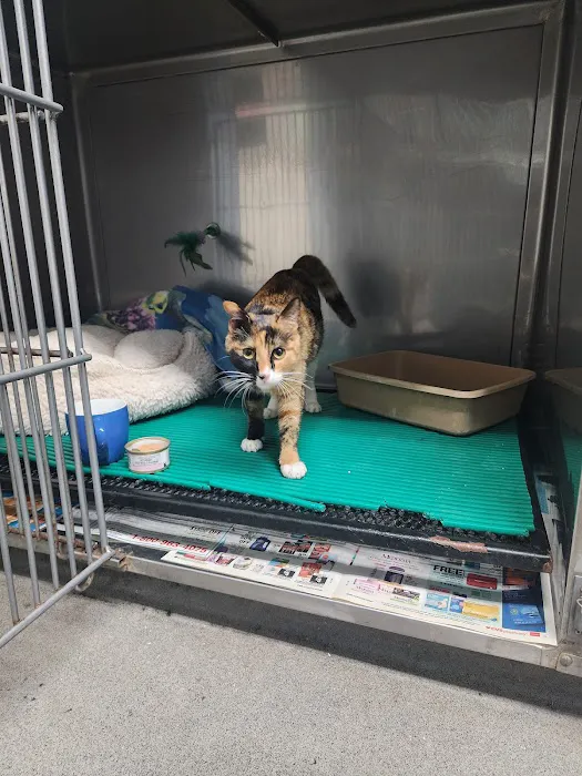 Culver City Animal Hospital 6