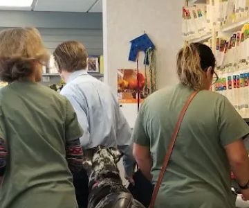 West Main Animal Hospital