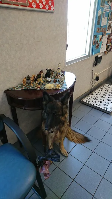 West Main Animal Hospital 7