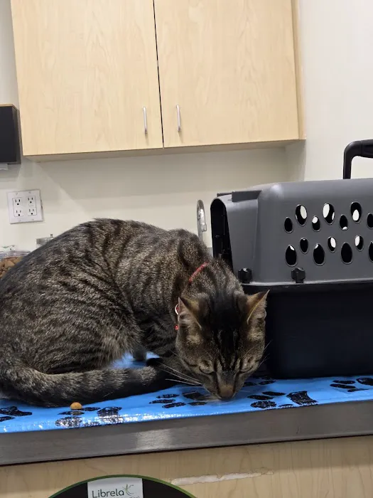 West Main Animal Hospital 4