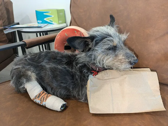 West Main Animal Hospital 3