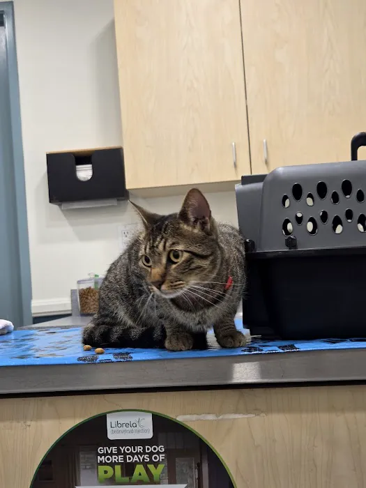 West Main Animal Hospital 6
