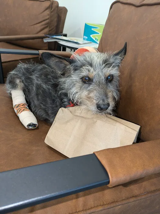 West Main Animal Hospital 5
