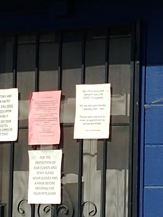 West Covina Pet Hospital 5