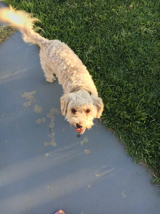 West Covina Pet Hospital 7