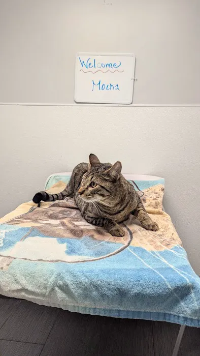 Affordable Animal Hospital Covina 12