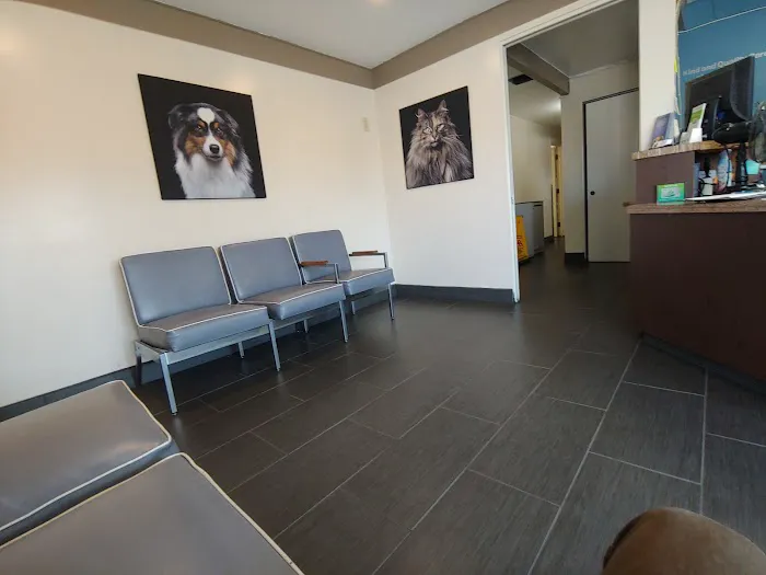 Affordable Animal Hospital Covina 12