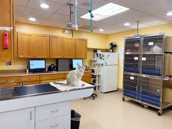 Country Club Animal Hospital 5