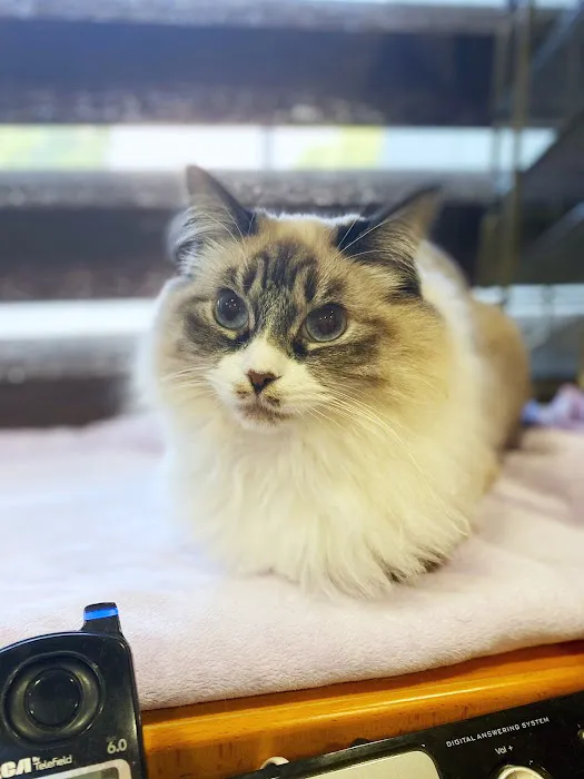 Country Club Animal Hospital 8
