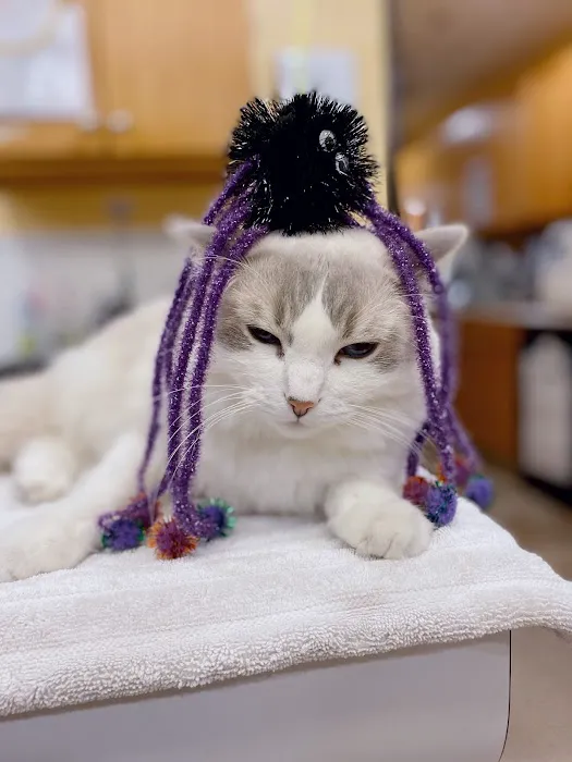 Country Club Animal Hospital 3