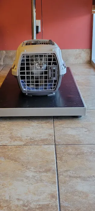 Country Club Animal Hospital 7