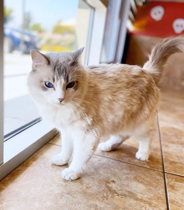 Country Club Animal Hospital 10
