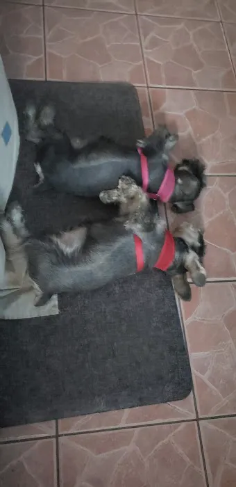 Banfield Pet Hospital 4