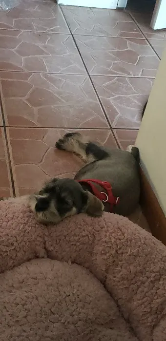 Banfield Pet Hospital 8