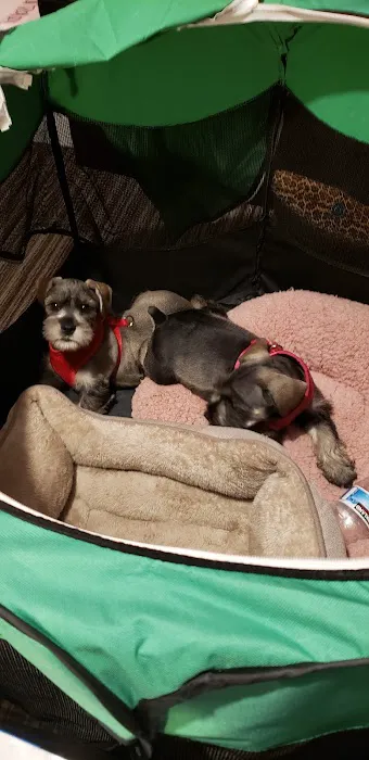 Banfield Pet Hospital 3