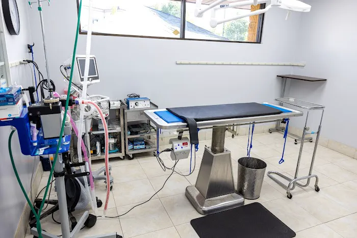Animal Hospital of Walnut 7