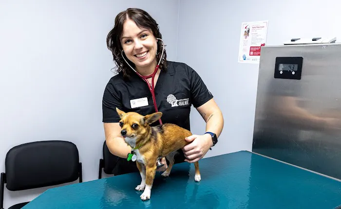 Animal Hospital of Walnut 10