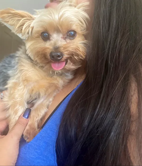 Diamond Bar Veterinary Clinic 10