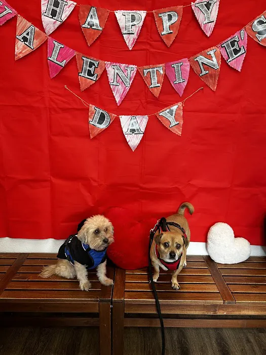 Diamond Bar Veterinary Clinic 7