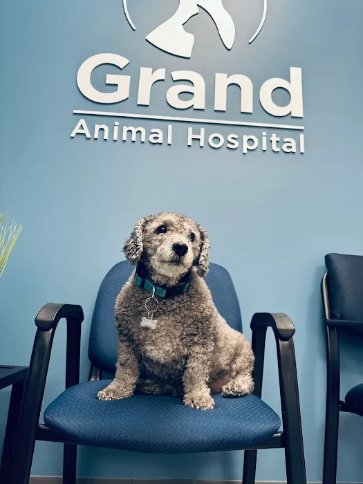 Grand Animal Hospital 1