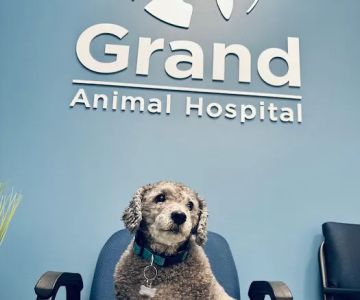 Grand Animal Hospital