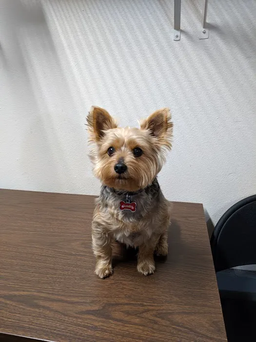 Grand Animal Hospital 3