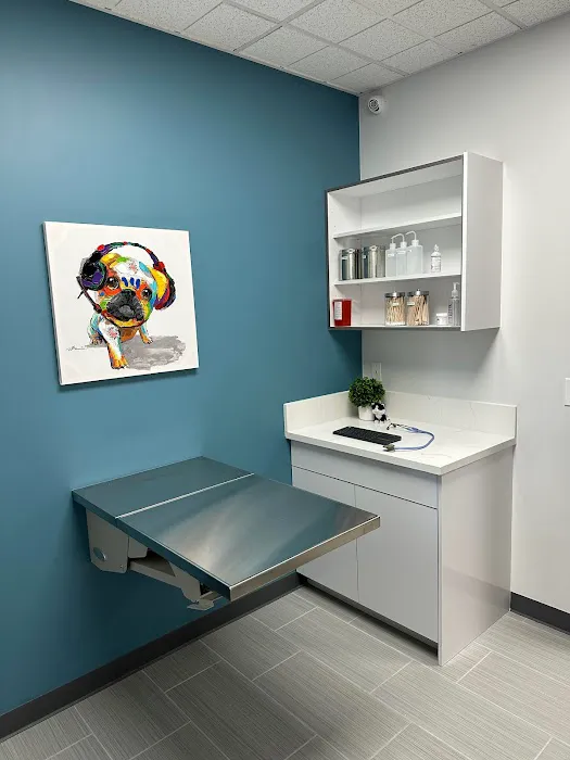 Grand Animal Hospital 6