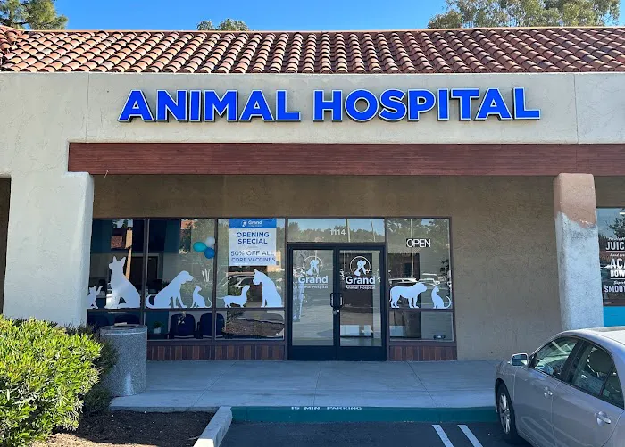 Grand Animal Hospital 9