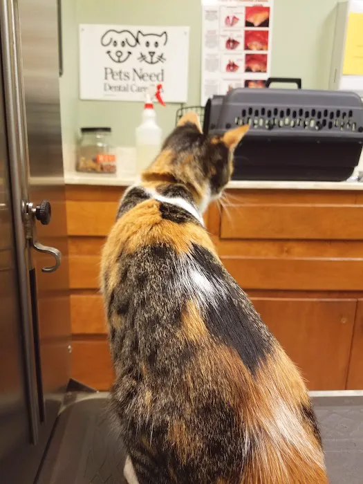Village Animal Hospital 9
