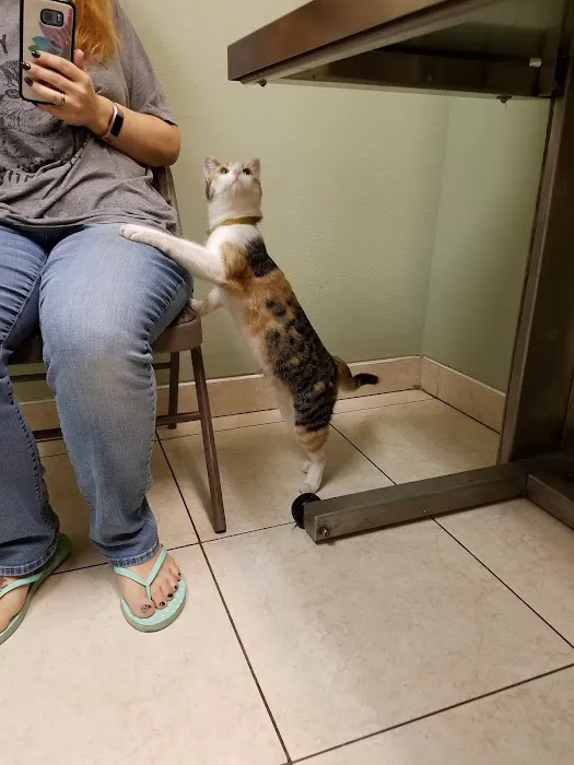 Village Animal Hospital 3
