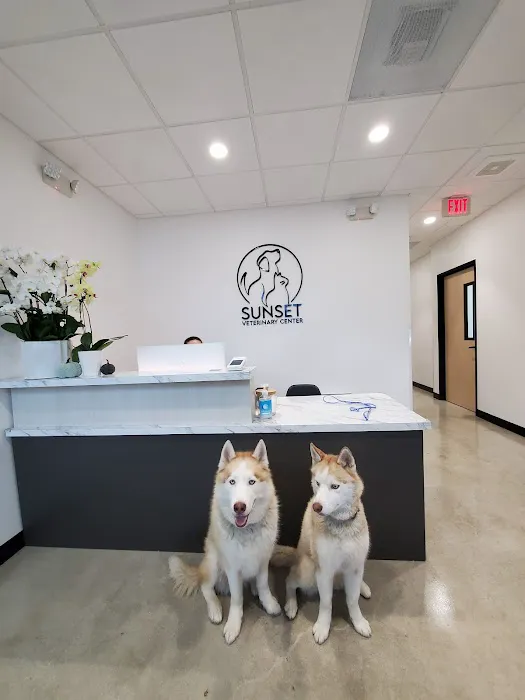 Sunset Veterinary Center 3