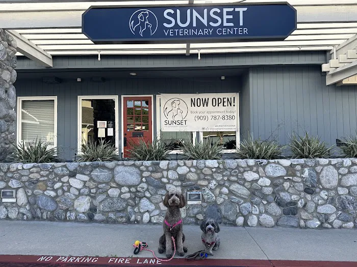 Sunset Veterinary Center 6