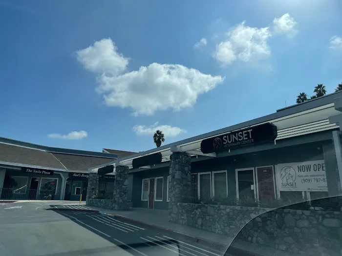 Sunset Veterinary Center 2