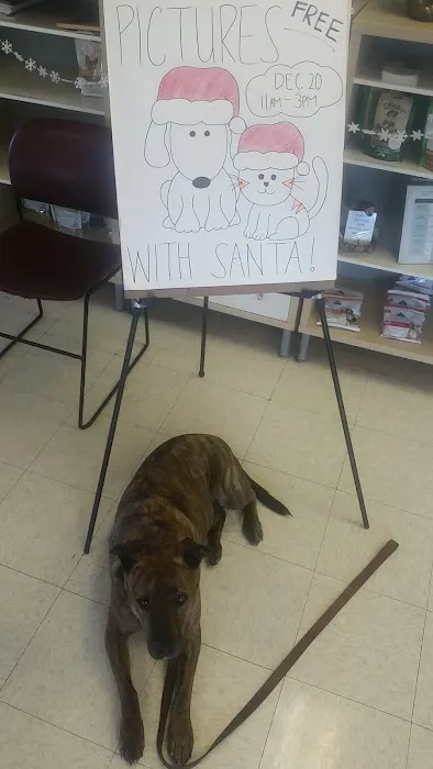 All Pets Medical and Surgical Center 1