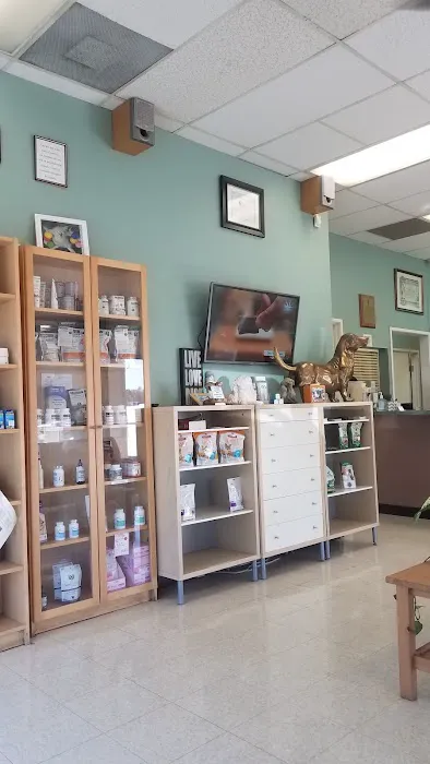 All Pets Medical and Surgical Center 5