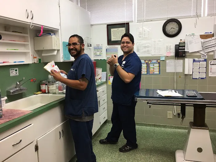 VCA Santa Anita Animal Hospital 10