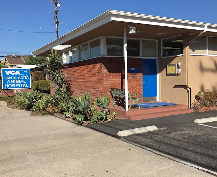 VCA Santa Anita Animal Hospital 7