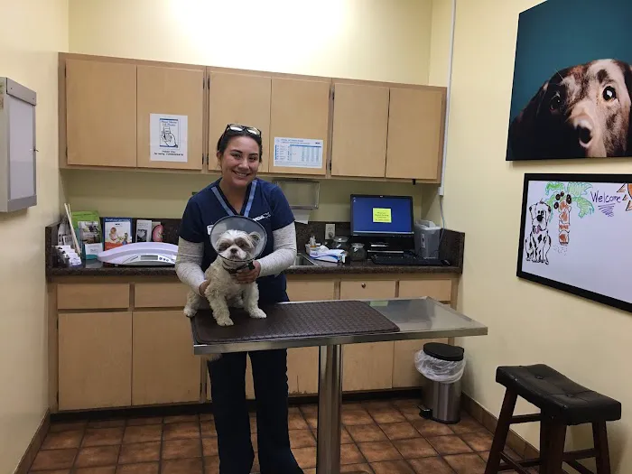 VCA Santa Anita Animal Hospital 5