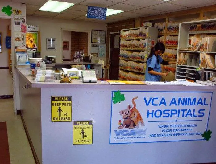 VCA Mission Animal Hospital 2