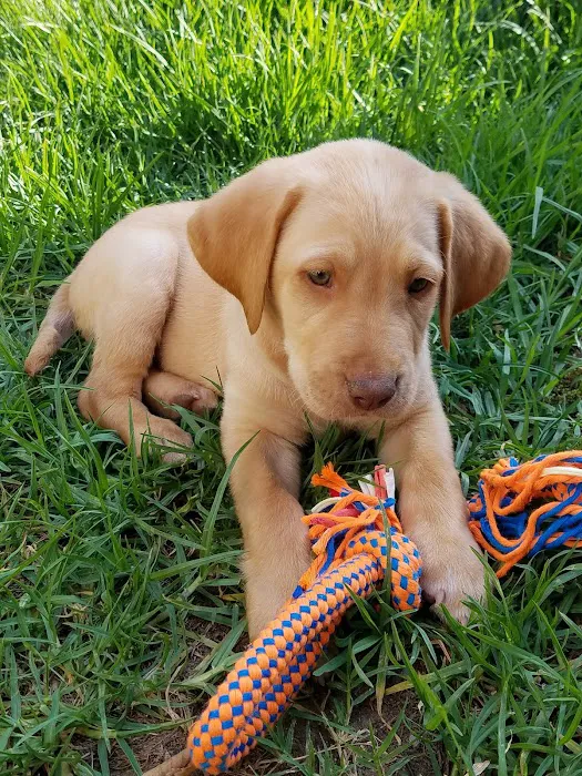 VCA Mission Animal Hospital 8