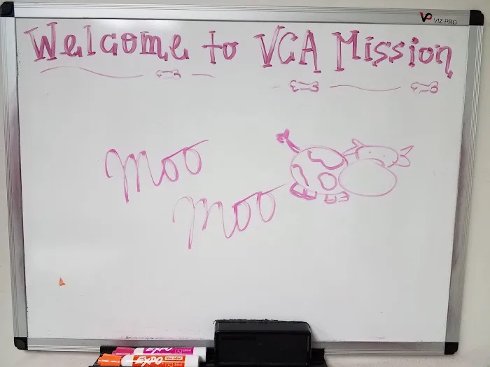 VCA Mission Animal Hospital 9