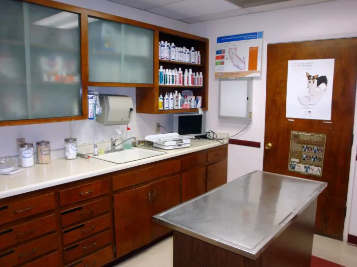 VCA Mission Animal Hospital 3