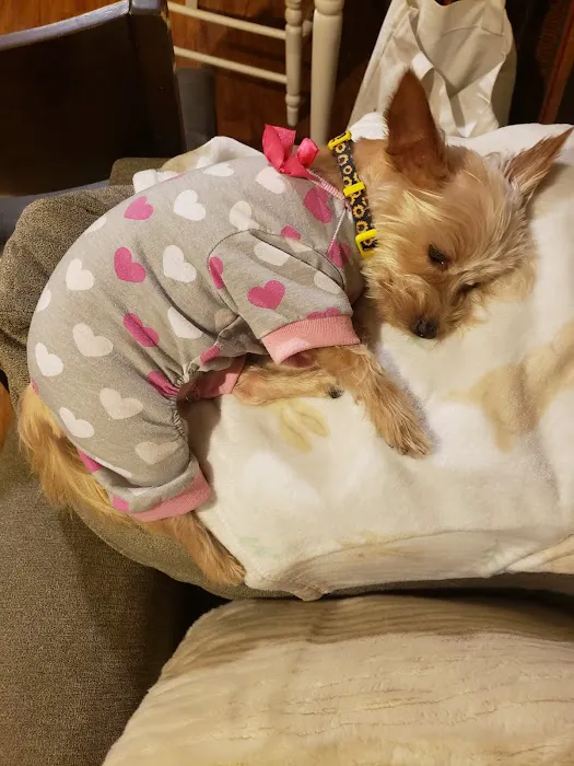 San Marino Veterinary Clinic 12